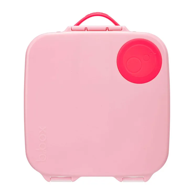 B.Box Lunchboxes>Lunch Box