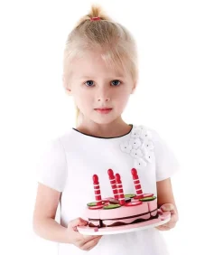 Hape Pretend Play | Kitchen & Food>Double Flavored Birthday Cake