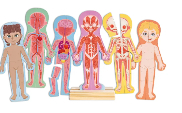 HAPE Jigsaw Puzzles | 3 Years+>Human Body Magnetic Puzzle