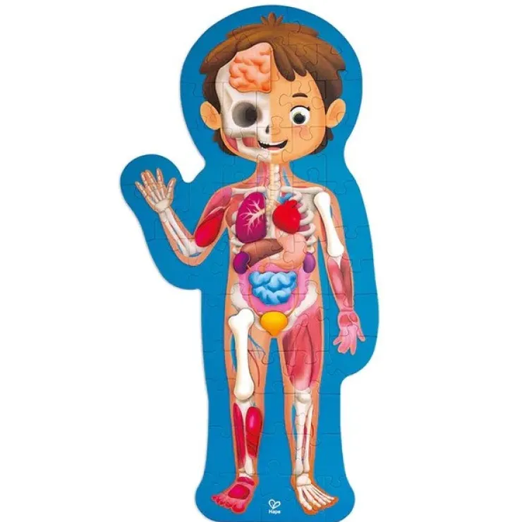 HAPE Early Development Toys | Jigsaw Puzzles>Human Body Puzzle 60pc