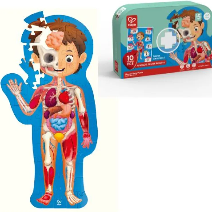 HAPE Early Development Toys | Jigsaw Puzzles>Human Body Puzzle 60pc