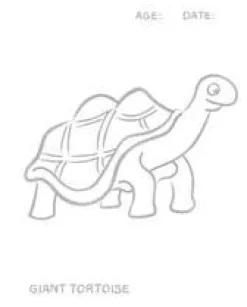 Honeysticks Art Supplies | Drawing, Colouring & Painting>* Colouring Book - Endangered Species