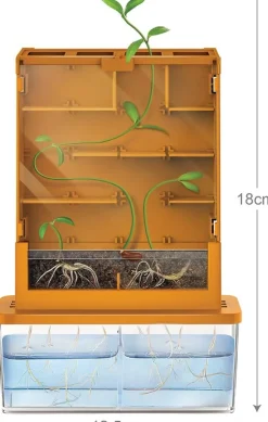 4M Science & Discovery | 8 Years+>Green Science Kit - Grow a Maze