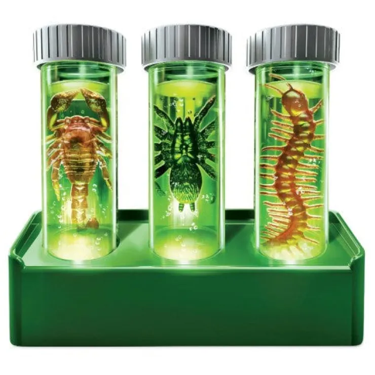 4M Science & Discovery | 5 Years+>KidzLabs Glow Critter Lab