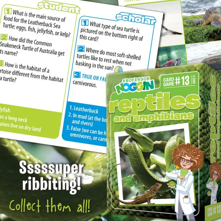 Professor Noggin Educational Games | Educational Games>- Reptiles and Amphibians^