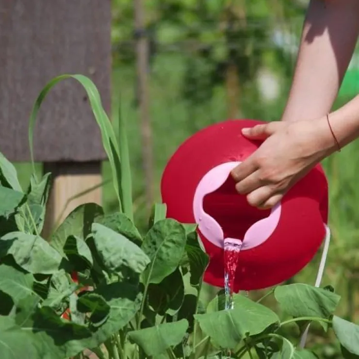 QUUT Beach Toys | Sand Toys>Ballo Bucket - Red