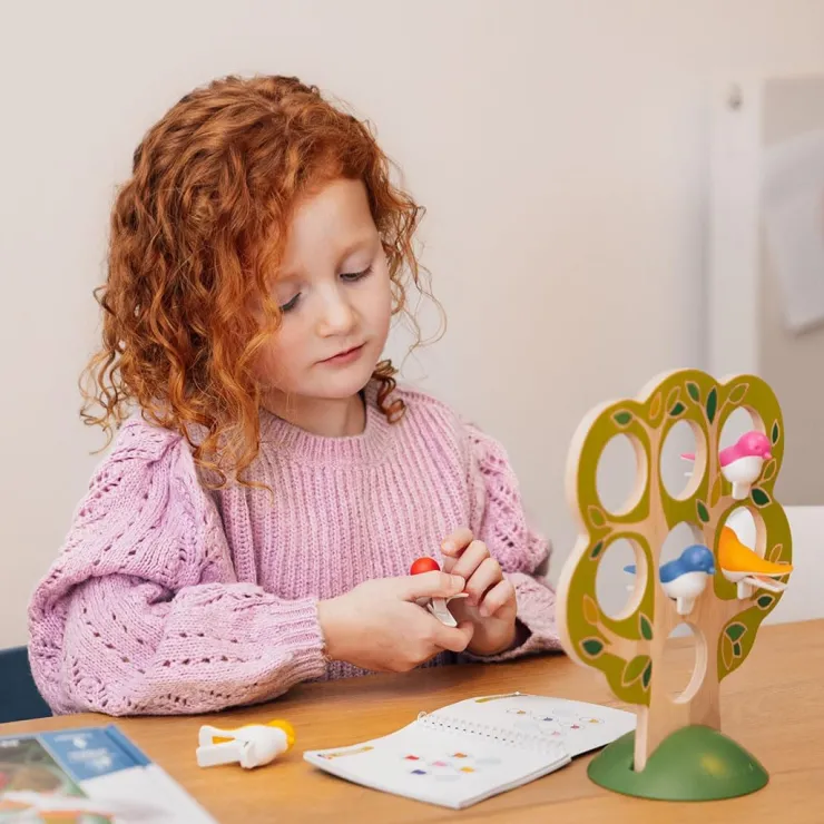 Smart Games Educational Games | Educational Games>5 Little Birds