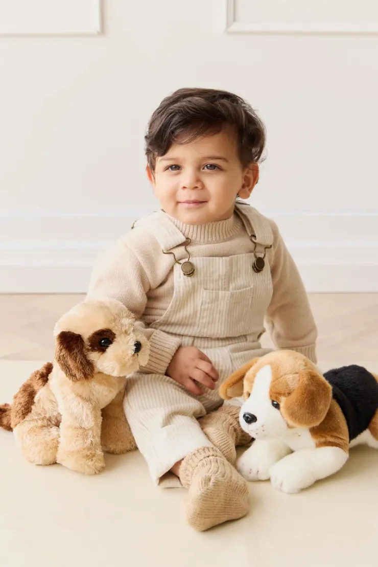 Snuggle Bunny Soft Toys | 2 Years+>Snuggle Bunnies Coco The Shih Tzu