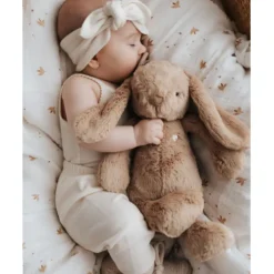 Snuggle Bunny Soft Toys | 0 Months+><noscript><img width=