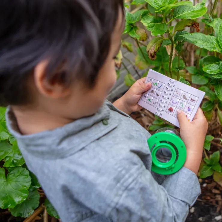 TIGER TRIBE Activities & Learning | 3 Years+>Bug Spotter Kit