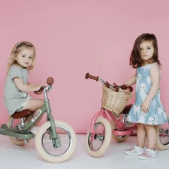 TryBike Trikes & Wagons | Balance Bikes><noscript><img width=